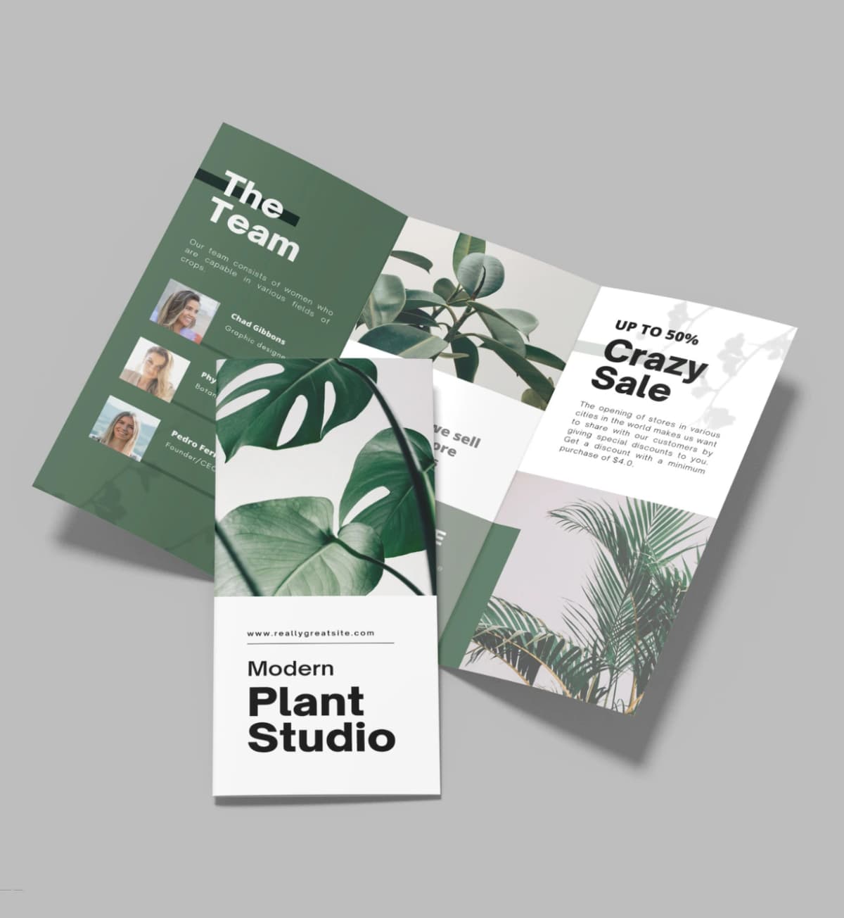 https://inkprint2-bucket.s3.amazonaws.com/img/product_image/set/Brochures_WEBP_.webp