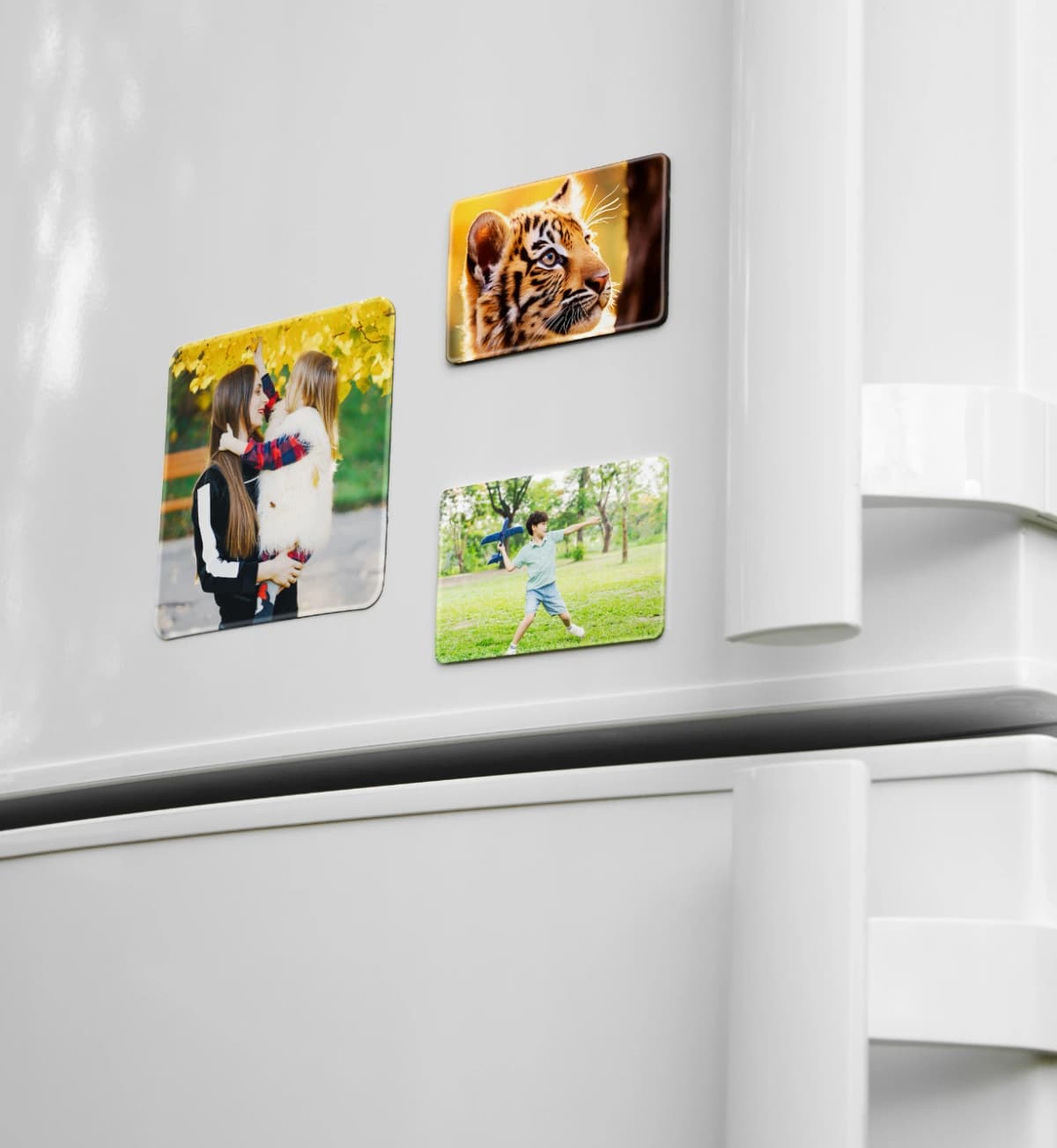 https://inkprint2-bucket.s3.amazonaws.com/img/product_image/set/Magnets_WEBP_.webp