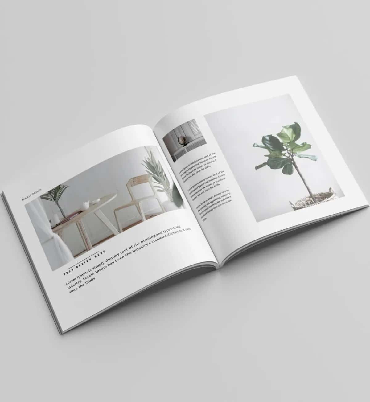 Catalogs image