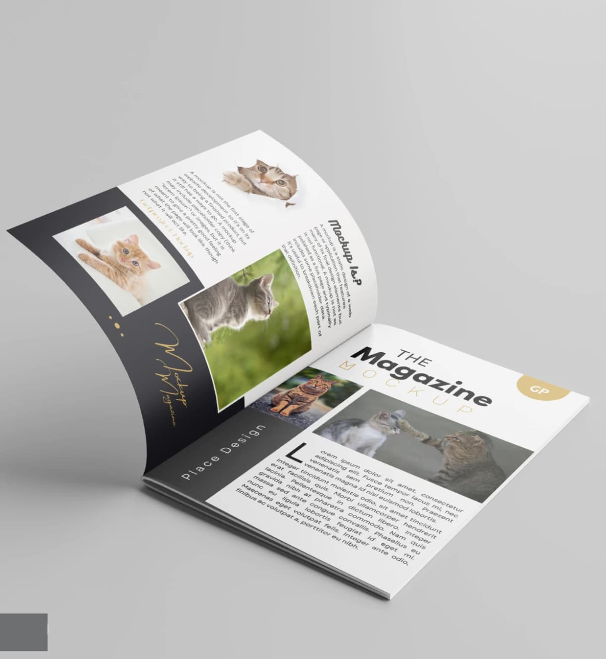 Custom Print Magazines - Personalized Printing